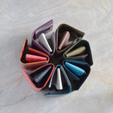 ホックあり(パス&カードケース)